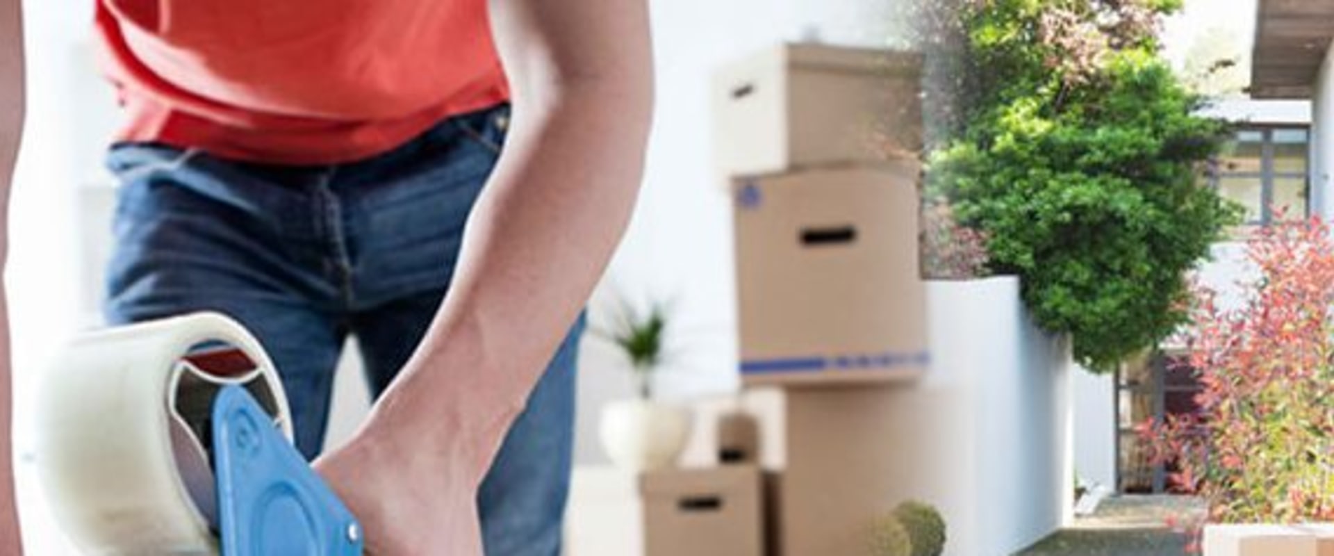 Reviews for Packing Services: Everything You Need to Know